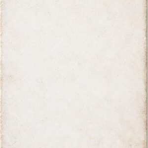 RIBESALBES Blanco Rustico 20x25 | 5 m²