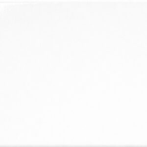 RIBESALBES Blanco Brillo 10x20 | 2857 m²